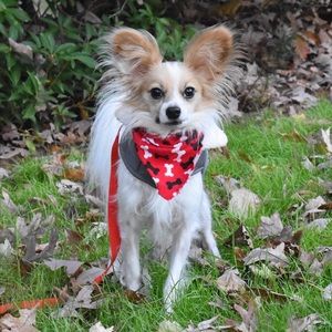 Meet your Posher, Brianna